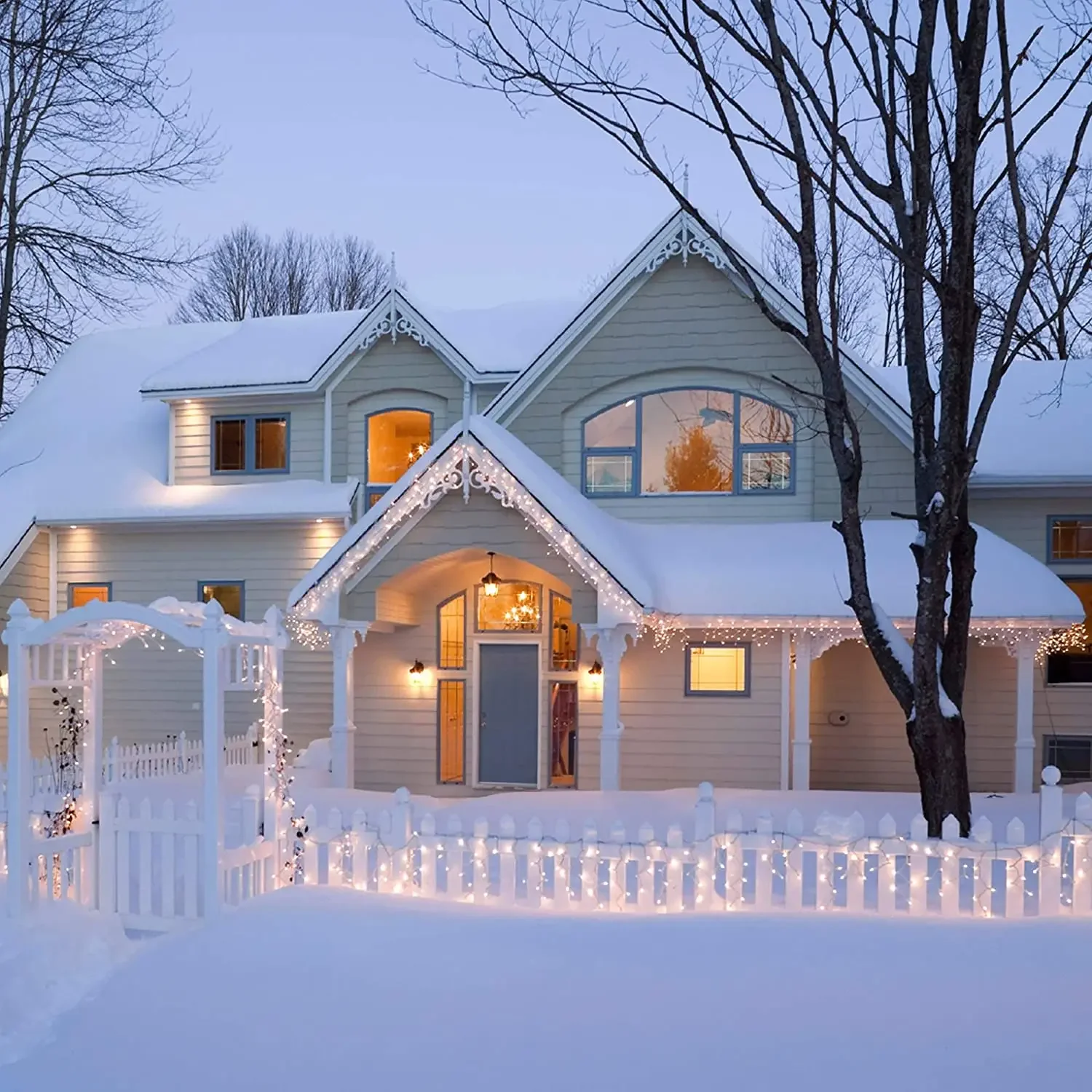 Christmas Lights Outdoor Decor - огляд і ціна Diy Electronics News